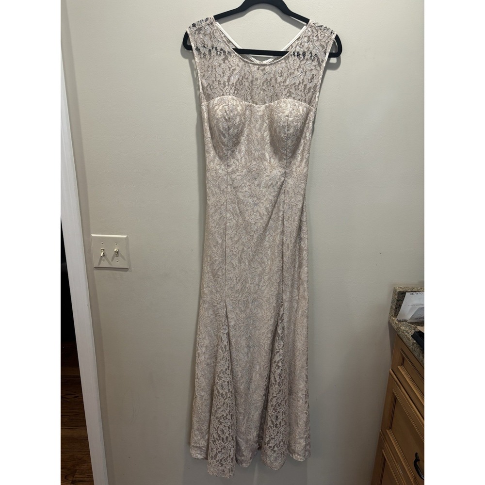 Betsy & Adam Blush‎ Lace Mermaid Gown Open Back Formal Prom Long Dress Size 10
